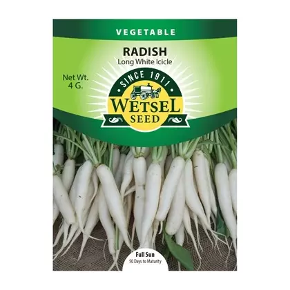 Radish, Long White Icicle - 4 grams