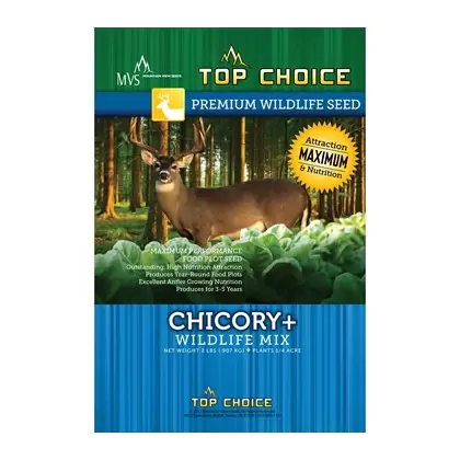 Top Choice Chicory Plus Mix 2