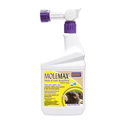 Bonide Qt RTS Mole Max
