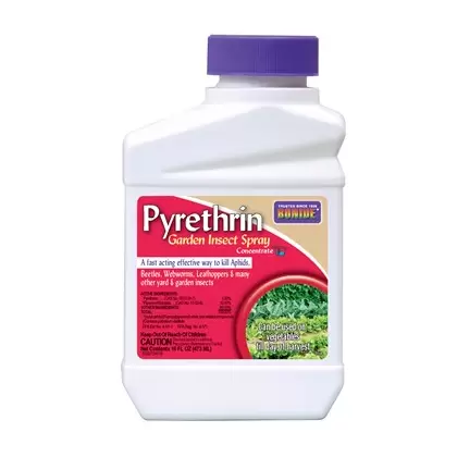 Bonide Pt Pyrethrin Garden Insect Spray