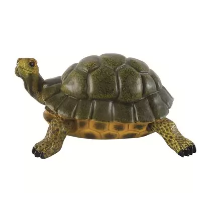 MCarr Turtle Medium