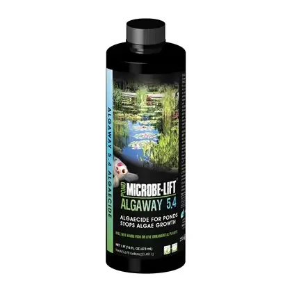 Eco Labs 16oz Microbe Lift Algaway 5.4