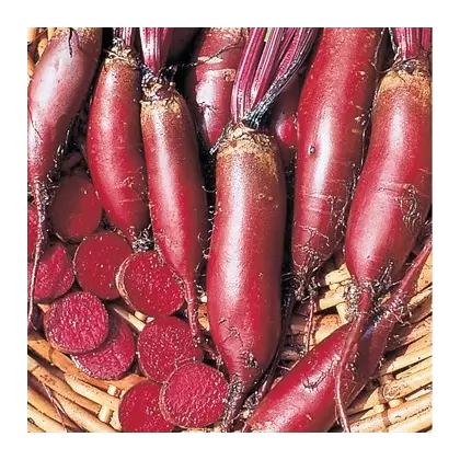 BEETS, CYLINDRA 1/2 LB EACH
