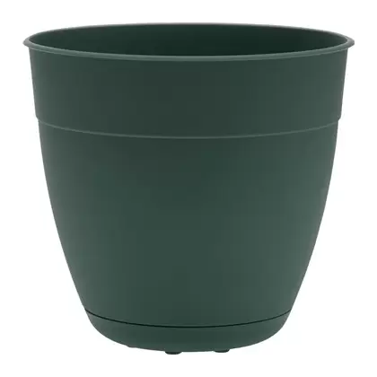Bloem 6" Dayton Planter Turtle Green