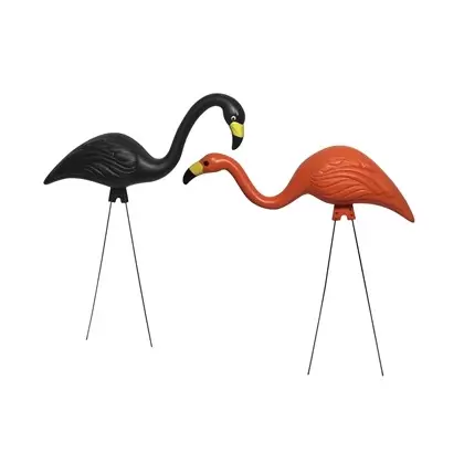 Bloem 2Pk Spooky Flamingo