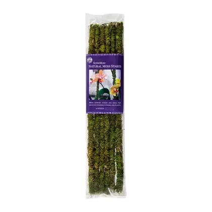 SuperMoss 18" Natural Moss Stakes 6pk