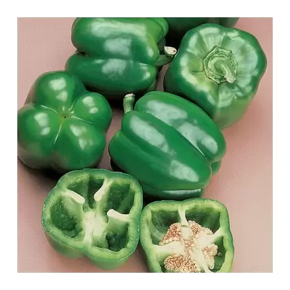 Peppers, North Star Treated - 1,000 Seed Count