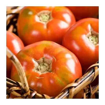 Tomato, Burpees Big Boy Treated - 100 Seed Count
