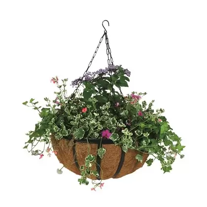 WSP 14" Forge Hanging Basket With Coco Liner