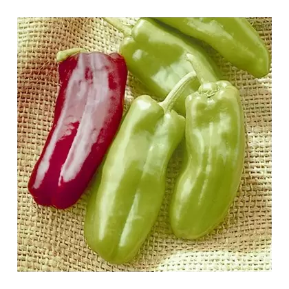 Peppers, Giant Marconi Treated - 5,000 Seed Count