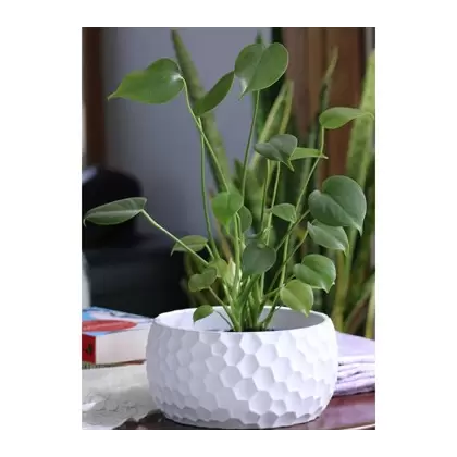 Fiesta Art 7.5" Decor Honeycomb Bowl