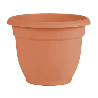 Bloem 10" Ariana w/ Grid Planter Muted TC