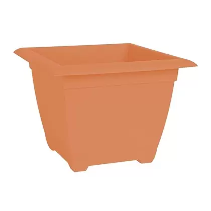 Bloem 15" Dayton Square Box Coral