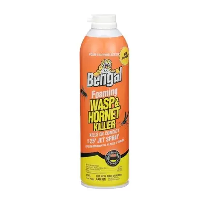 Bengal 16oz Foaming Wasp & Hornet Jet Spray