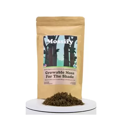 Mossify Shade Growable Moss