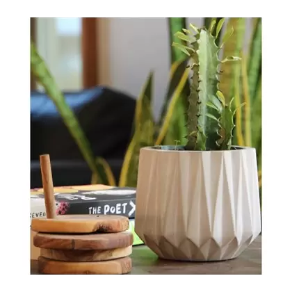 Geo 5" Aurora Planter