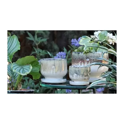 Verandah 5.5" Finger Pot MCH