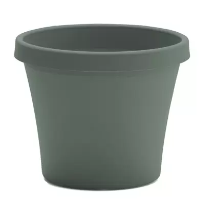 Bloem 6" Terra Planter Basil