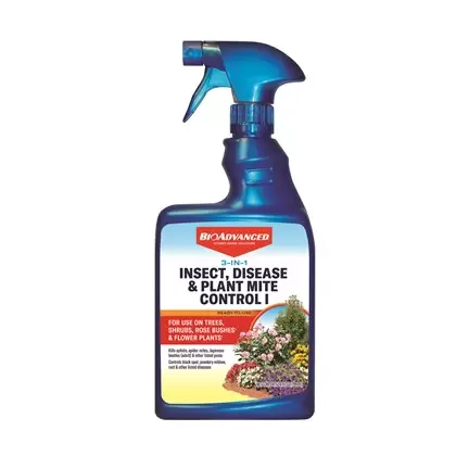 BioAdvanced 24oz 3-In-1 Insect Disease Mite RTU