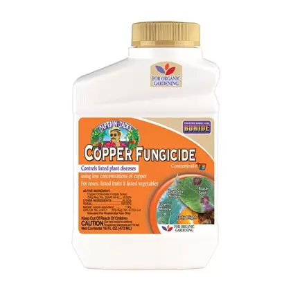 Captain Jacks Pt Liquid Copper Concentrate