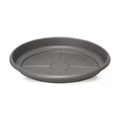 Crescent 8" Emma Saucer Charcoal