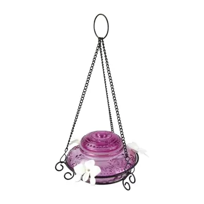 Natures Way 14oz Antique Glass Top-Fill Hummingbird Feeder Plum