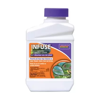 Bonide Pt Infuse Systemic Plant Fungicide Concentrate