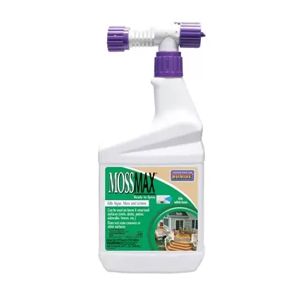 Bonide Qt RTS Moss Max