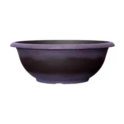 Grower Select 17.00 Sugar Sand Bowl Wisteria 3.3gal 50/CS - 16.9in OD X 6.3in H X 8.5in BD