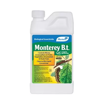 Monterey Qt B.t. Bacillus thuringiensis Biological Insecticide BT