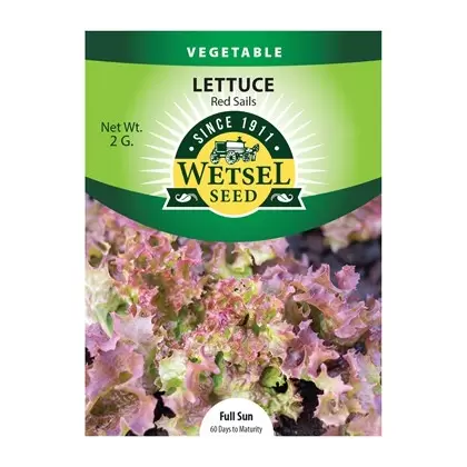 Lettuce, Red Sails - 2 Gram