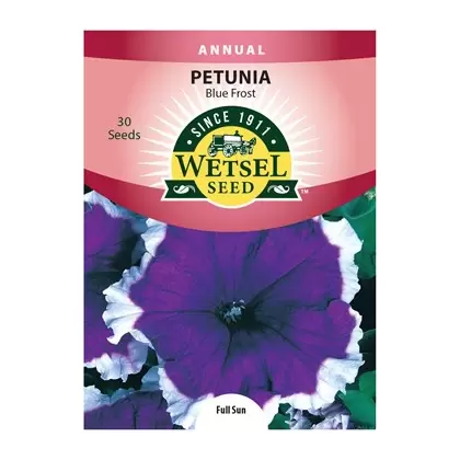 PETUNIA, BLUE FROST 30 SEEDS