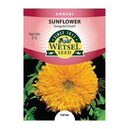 Sunflower, Sungold Dwarf - 2 Gram