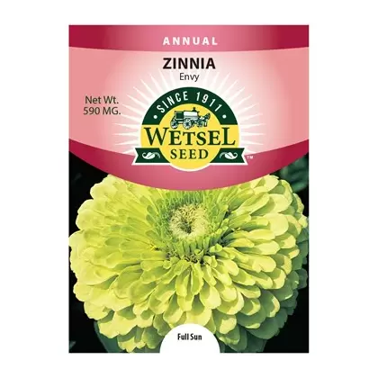 ZINNIA, ENVY 590 MG.