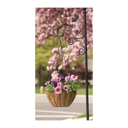 Panacea 12" Hanging Basket Growers Green