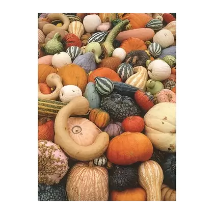 Gourds, Mixed Large Small - 1/2oz