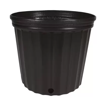 HC Dillen 3G Nursery Pot, Blow Molded, Heavy, True 3 Gallon, Black, 50 per Bundle, 60 Bundles per Pallet, 11.00in x 9.62in, 3.00Gal, 3Gallon