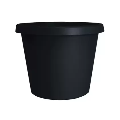HC 6" Prima Planter Black