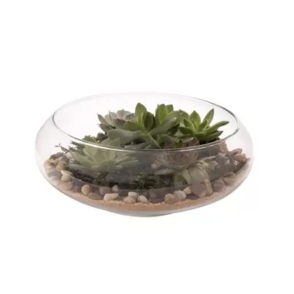 Panacea 10"D Glass Flat Terrariium Tabletop Bowl Planter With Metal Stand