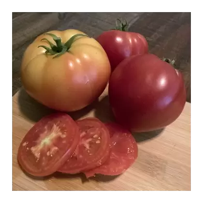 Tomato, Abe Lincoln - 500 Seed Count