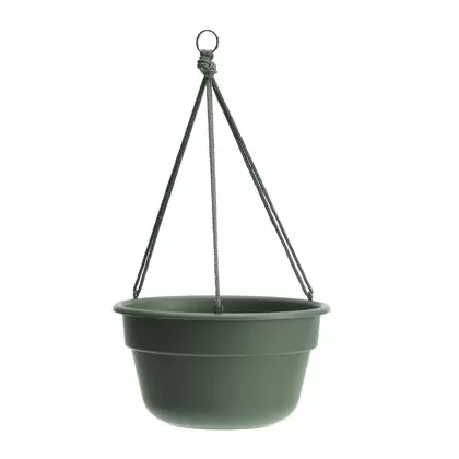 Bloem 12" Durcotta Basil Hanging Basket