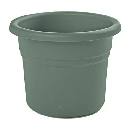 Bloem 12" Posy Planter Basil