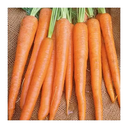 Carrot, Imperator - 1lb