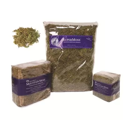 SuperMoss 200cu Bag Preserved Mountain Moss Green