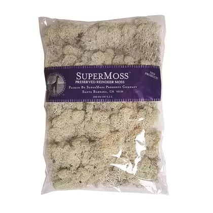 SuperMoss 8oz Reindeer Moss Natural