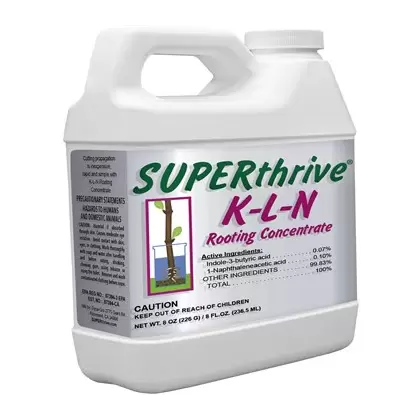 SUPERthrive 32oz K-L-N Rooting Concentrate