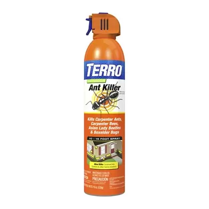 TERRO 19oz Outdoor Ant Killer Aerosol
