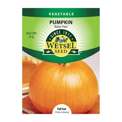 Pumpkin, Baby Pam - 3 Gram