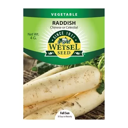 Radish, White Chinese Celestial - 4 grams