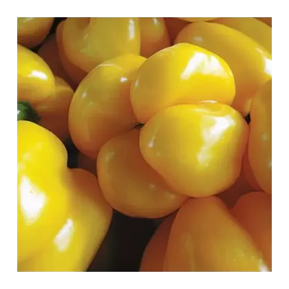 Peppers, Golden Cal Wonder - 1/2oz